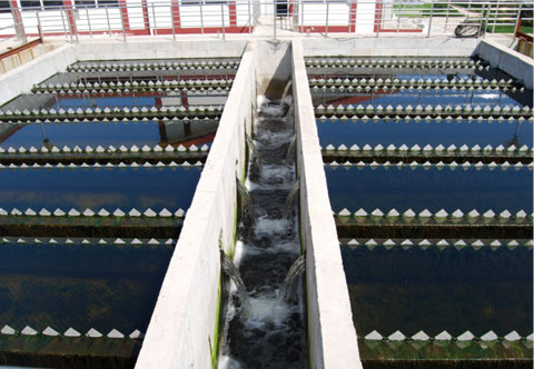 pp电子·模拟器(试玩游戏)官方网站