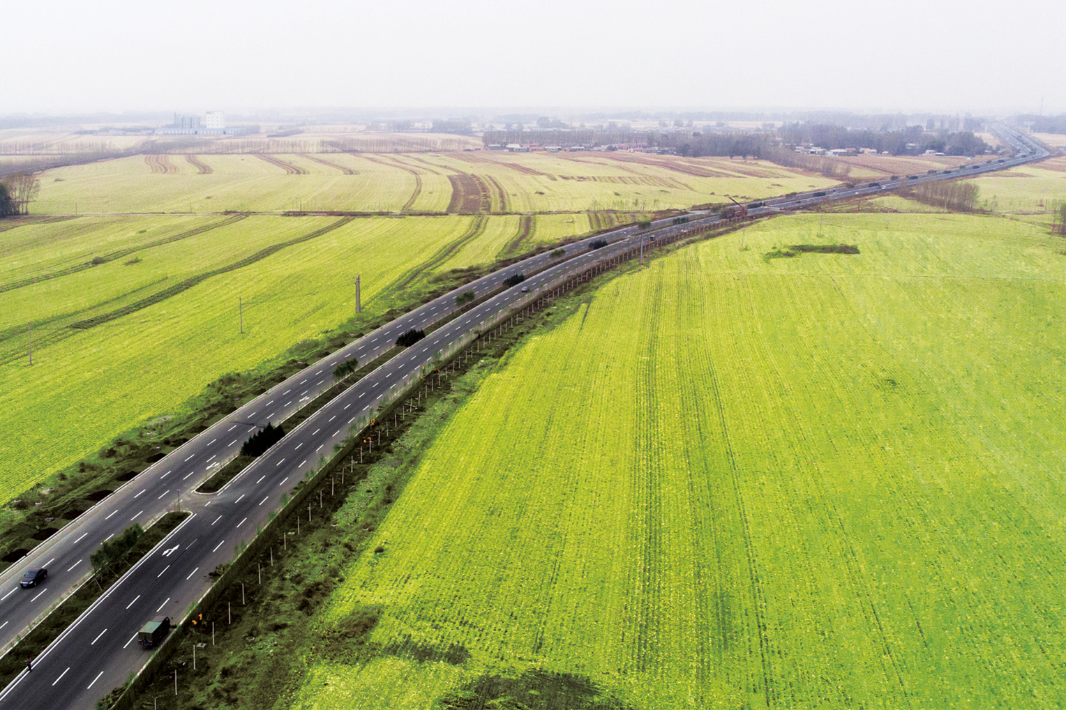 pp电子·模拟器(试玩游戏)官方网站